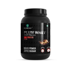 Plumb Fort High Protein Whey Supplement – Triple Rich Chocolate