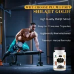 PLUM GOLD Shilajit Capsules – image 5